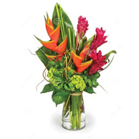 HELICONIA BIHAI NARANJA