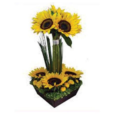 GIRASOL